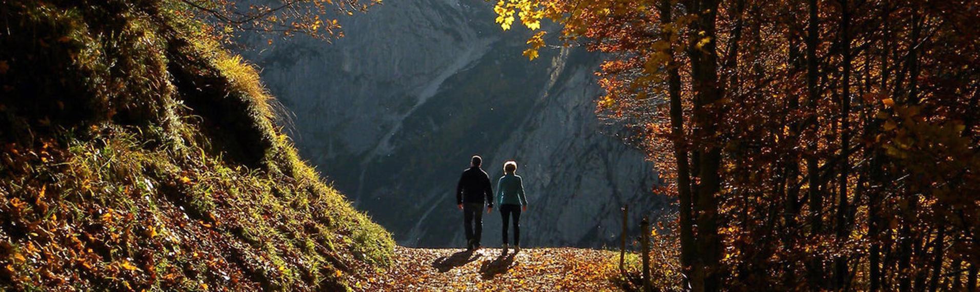 Checklist for a great autumn walk