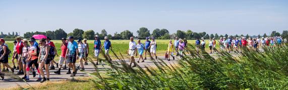 3 Wandeltips als warming-up voor de Nijmeegse Vierdaagse