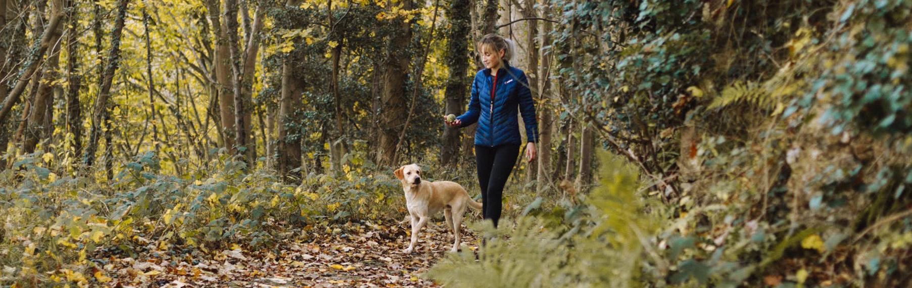 How walking strengthens your immune system: join the hike!